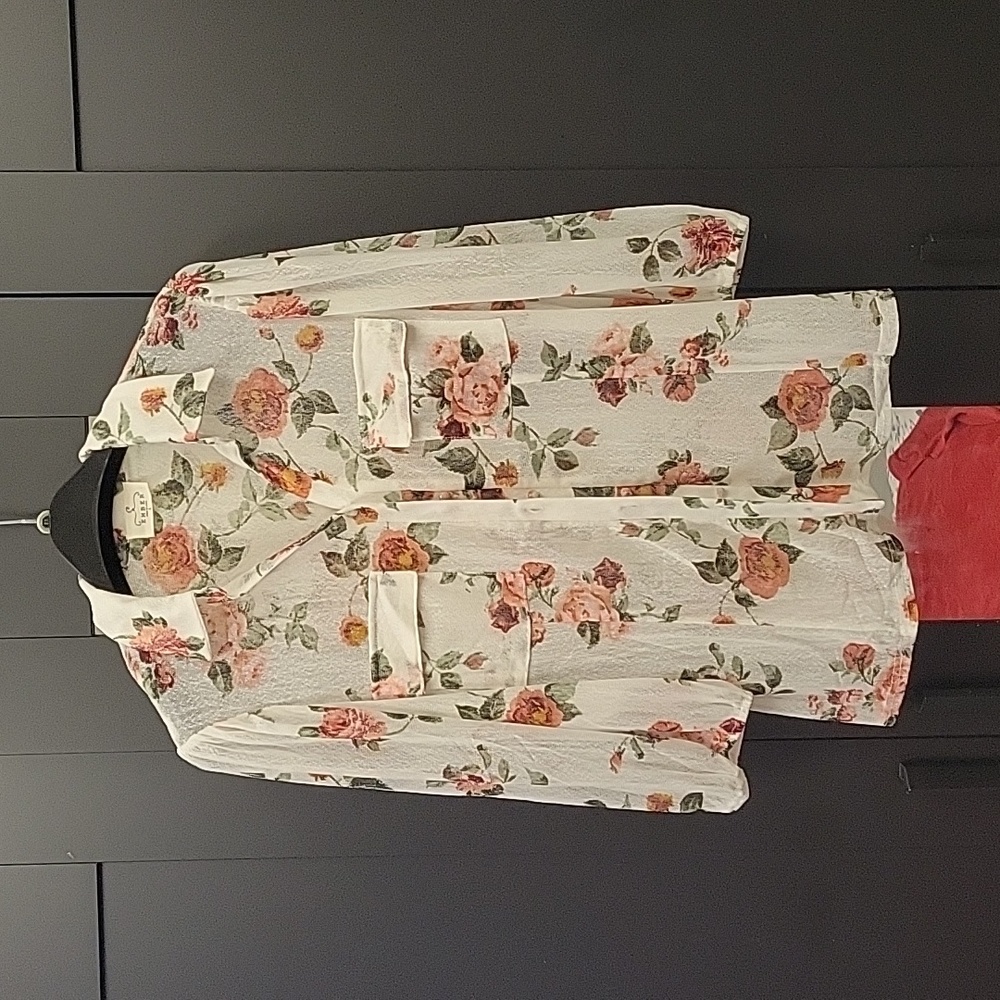 Gorgeous Sheer Blouse